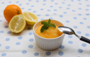 Citrusový sorbet alko i nealko